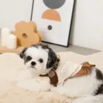 ソフトメッシュハーネス - 画像 (5)