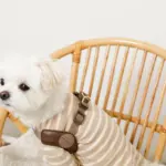 ソフトメッシュハーネス - 画像 (8)