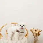 ソフトメッシュハーネス - 画像 (10)