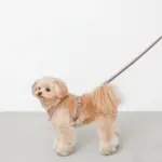 2wayコットンライクリード【名入れ刺繍対応】 - 画像 (4)