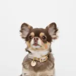 バイカラーサークルチャームレザーカラー【名入れ彫刻対応】 - 画像 (6)