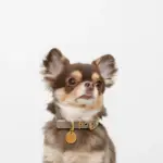 バイカラーサークルチャームレザーカラー【名入れ彫刻対応】 - 画像 (7)