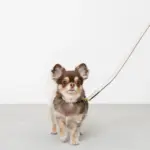 バイカラーサークルチャームレザーカラー【名入れ彫刻対応】 - 画像 (10)