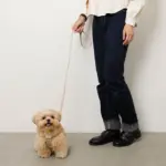 ソフトラバーハーネス+リードSET - 画像 (3)