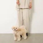 ソフトラバーハーネス+リードSET - 画像 (7)