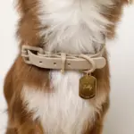 ソフトラバーカラー＋リードSET【名入れ彫刻対応】 - 画像 (10)