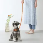 オーストレザーリボンペンダントカラー【名入れ彫刻対応】 - 画像 (6)