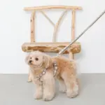 フラワーテープハーネス - 画像 (9)