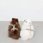 フラワーテープハーネス - 画像 (10)