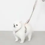 2wayフラワーテープリード - 画像 (4)