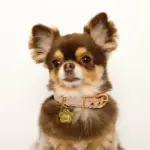 なみなみフラワーチャームレザーカラー【名入れ彫刻対応】 - 画像 (3)