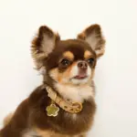 なみなみフラワーチャームレザーカラー【名入れ彫刻対応】 - 画像 (4)