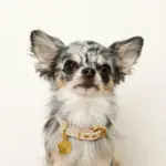 なみなみフラワーチャームレザーカラー【名入れ彫刻対応】 - 画像 (6)