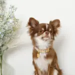 なみなみフラワーチャームレザーカラー【名入れ彫刻対応】 - 画像 (8)