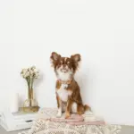 なみなみフラワーチャームレザーカラー【名入れ彫刻対応】 - 画像 (10)