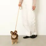 なみなみレザーリード - 画像 (6)