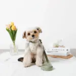 チューリップ柄ハーネス+リードSET【名入れ刺繍対応】 - 画像 (2)