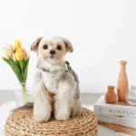 チューリップ柄ハーネス+リードSET【名入れ刺繍対応】 - 画像 (3)