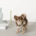 チューリップ柄ハーネス+リードSET【名入れ刺繍対応】 - 画像 (9)