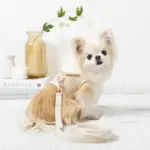 フード付きボーダーハーネス+リードSET【名入れ刺繍対応】 - 画像 (3)