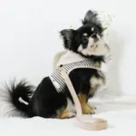 フード付きボーダーハーネス+リードSET【名入れ刺繍対応】 - 画像 (4)