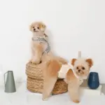 フード付きボーダーハーネス+リードSET【名入れ刺繍対応】 - 画像 (7)