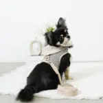 フード付きボーダーハーネス+リードSET【名入れ刺繍対応】 - 画像 (8)