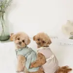 反射ほし柄ハーネス - 画像 (4)