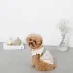 反射ほし柄ハーネス - 画像 (5)