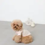 反射ほし柄ハーネス - 画像 (6)