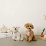 反射ほし柄バックルカラー【名入れ彫刻対応】 - 画像 (8)