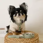 2way反射ほし柄リード - 画像 (3)