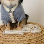 2way反射ほし柄リード - 画像 (8)