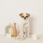 くまさんプリントバックルカラー＋リードSET【名入れ彫刻対応】 - 画像 (4)