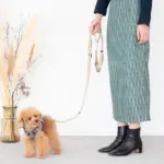 シンプルベーシックカラーリード - 画像 (2)