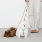 シンプルベーシックカラー継ぎ足しリード - 画像 (4)