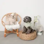 コードチョーカー - 画像 (5)