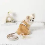 ギンガムチェックハーネス+リードSET【名入れ刺繍対応】 - 画像 (4)