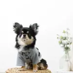 ギンガムチェックハーネス+リードSET【名入れ刺繍対応】 - 画像 (6)