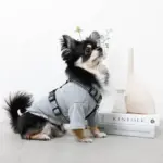 ギンガムチェックハーネス+リードSET【名入れ刺繍対応】 - 画像 (7)