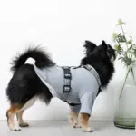 ギンガムチェックハーネス+リードSET【名入れ刺繍対応】 - 画像 (8)