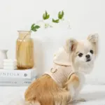 フード付きボーダーハーネス+リードSET【旧モデル】 - 画像 (2)