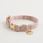 エコスエードカラー＋リードSET【名入れ彫刻対応】 - 画像 (2)