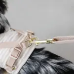 ボーダー冷感ハーネス＋リードSET【名入れ刺繍対応】 - 画像 (7)