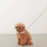 チェックカラー＋リードSET【名入れ彫刻対応】 - 画像 (7)