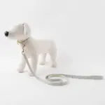 チェックカラー＋リードSET【名入れ彫刻対応】 - 画像 (10)