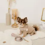 ボアコンビハーネス＋リードSET【名入れ刺繍対応】 - 画像 (2)