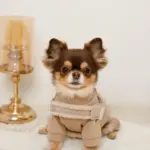 ボアコンビハーネス＋リードSET【名入れ刺繍対応】 - 画像 (7)