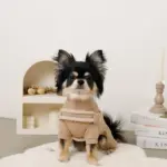 ボアコンビハーネス＋リードSET【名入れ刺繍対応】 - 画像 (8)