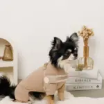 ボアコンビハーネス＋リードSET【名入れ刺繍対応】 - 画像 (9)